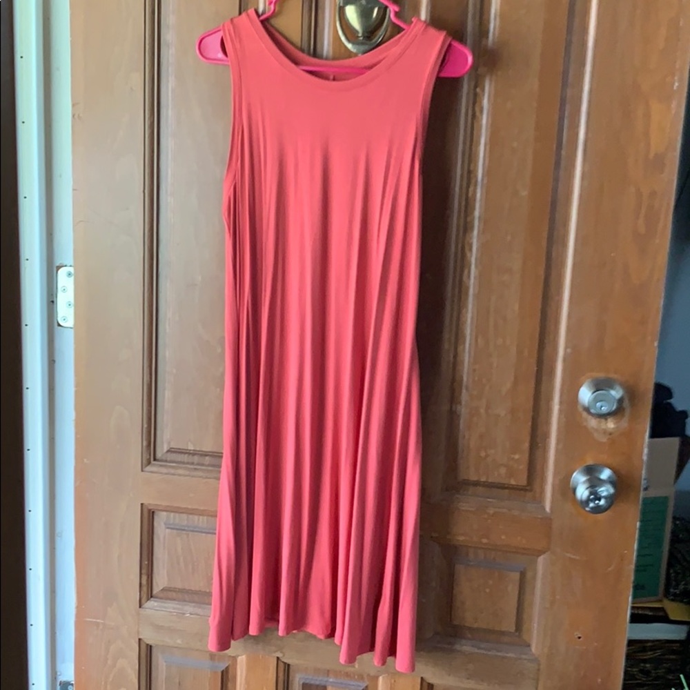 Cotton shift dress! NWT❗️